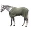 Horse-friends Fliegendecke feinmaschig