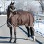 Cheval de Luxe Outdoordecke Avignon Highneck Fleece