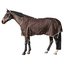 Cheval de Luxe Outdoordecke Avignon Highneck Fleece