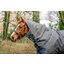HORSEWARE Halsteil AMIGO Hero Ripstop