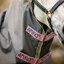 HORSEWARE Halsteil AMIGO Hero Ripstop