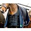 HORSEWARE Stalldecke Easy-Layer Stable 100g