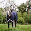 HORSEWARE Outdoordecke RAMBO Original Lite 100 g