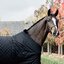 KENTUCKY Stalldecke