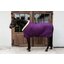 KENTUCKY Show Rug