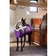 KENTUCKY Show Rug