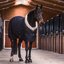 KENTUCKY Show Rug