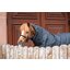 Horse-friends Outdoordecke