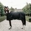 KENTUCKY Stalldecke 400 g