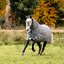 HORSEWARE Outdoor-/Weidedecke RHINO Hexstop Plus mit Vari-Layer