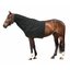 Horse-friends Halsteil