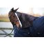 KENTUCKY Halsteil All Weather Pro 150 g