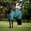 HORSEWARE Weidedecke AMIGO Ripstop 900 Denier, 50g