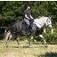 EQUINE-MICROTEC Fliegenausreitdecke MICRO MESH PROTECT