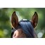 EQUINE MICROTEC Fliegenhalsteil MICRO MESH PROTECT