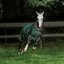 bucas Outdoordecke Freedom Turnout