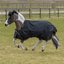 bucas Outdoordecke Irish Turnout light