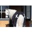 Horse-friends Paradedecke Aachen