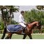 HORSEWARE Ausreitdecke AMIGO Excercise Sheet