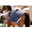 HORSEWARE Ausreitdecke AMIGO Excercise Sheet