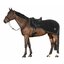Cheval de Luxe Ausreitdecke Nantes Fleece