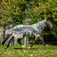 HORSEWARE AMIGO Weide- und Fliegendecke 3-in-1 Camofly