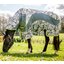 HORSEWARE AMIGO Weide- und Fliegendecke 3-in-1 Camofly