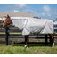 HORSEWARE Fliegendecke AMIGO Bug Rug