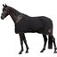 Cheval de Luxe Abschwitzdecke