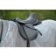 Horse-friends Fliegen-Ausreitdecke XL
