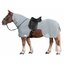 Horse-friends Fliegen-Ausreitdecke XL