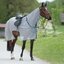 Horse-friends Fliegen-Ausreitdecke XL