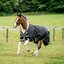 Horseware Outdoordecke AMIGO 1200 D, 250 g