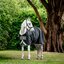 Horseware Outdoordecke AMIGO 1200 D, 250 g