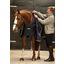 Horseware Unterdecke Liner 200 g