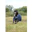 bucas Outdoordecke Freedom Turnout 150 g