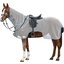Horse-friends Fliegen-Ausreitdecke