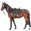 Cheval de Luxe Fliegenohren
