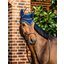 HORSEWARE Signature Fliegenohren