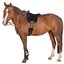 L-pro West Bareback-Pad Wildleder