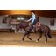 ARIAT Bluse Team Kirby Stretch Shirt