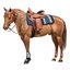 L-pro West Westernblanket Sparkling
