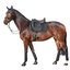 Cheval de Luxe Schabracke