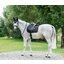 Cheval de Luxe Schabracke Basic Glitter