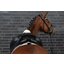 ESKADRON Heritage Schabracke Micro Evo-Wool
