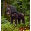 LeMieux Toy Pony