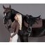 Cheval de Luxe Schabracke Avignon