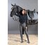 Cheval de Luxe Fliegenohren Avignon