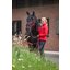 Cavallo Halfter CAVALJERO