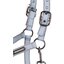Cavallo Halfter CAVALSOFTSHELL HEAD COLLAR